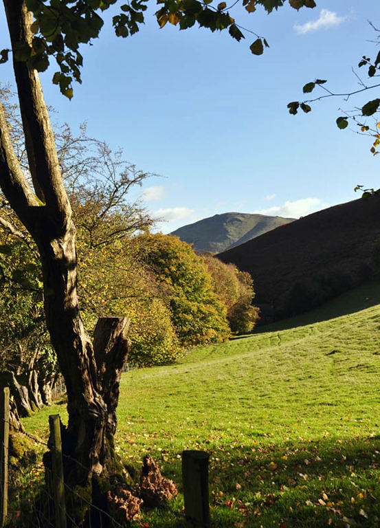 [Batch Valley[3].jpg]