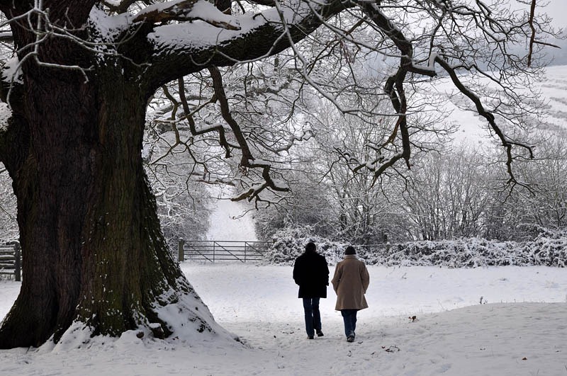[Under the trees[3].jpg]
