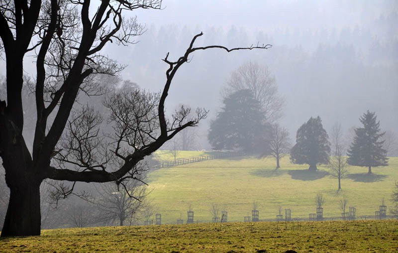 [The withered arm[7].jpg]