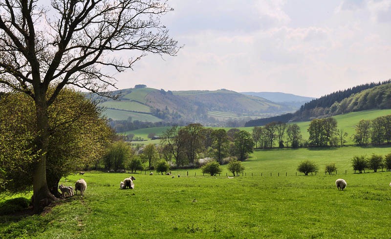 [Clun Valley[3].jpg]