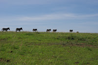 IMGP2744.JPG