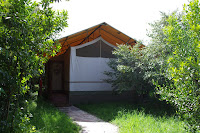 IMGP2375.JPG
