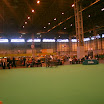 IMG_9232.JPG