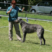 IMG_9557.JPG