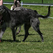 IMG_9545.JPG