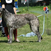 IMG_9550.JPG