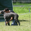 IMG_9563.JPG