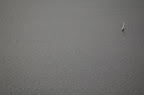 DSC_0012.jpg