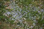 DSC_0042.jpg DSC_0042.jpg
