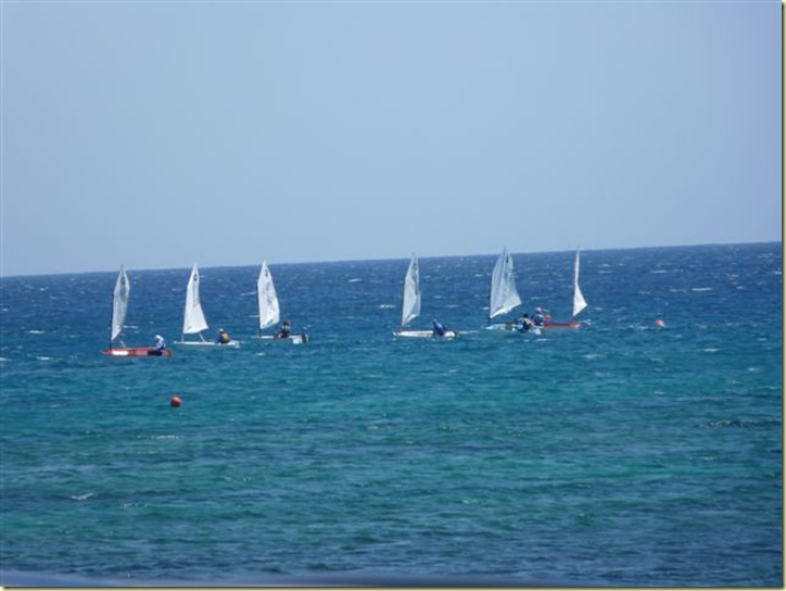 P1050342