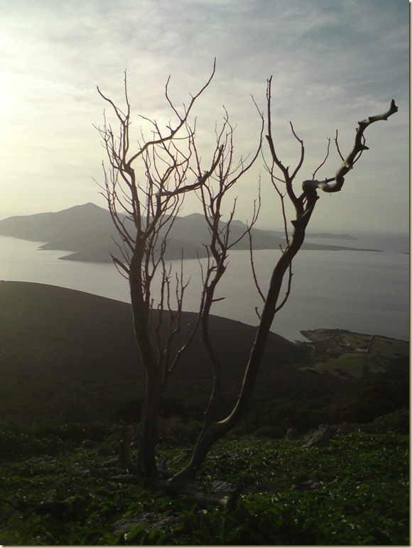 DSC00147