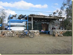 pita noa 006