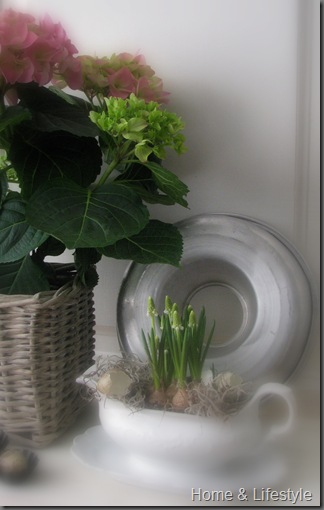 Home & Lifestyle Home & Lifestyle