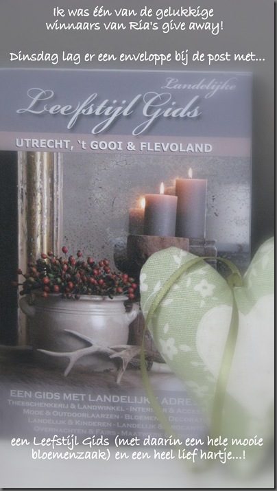 Home & Lifestyle Home & Lifestyle