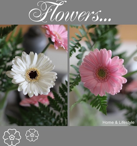Home & Lifestyle Collage gerbera