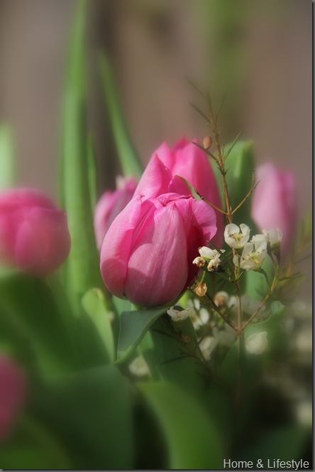 [IMG_0451_thumb14.jpg]
