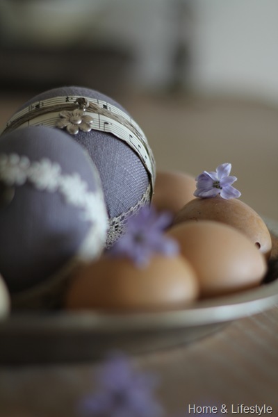 Home & Lifestyle IMG_0477