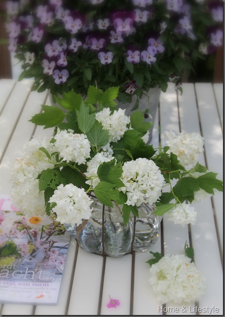 Home & Lifestyle IMG_0886