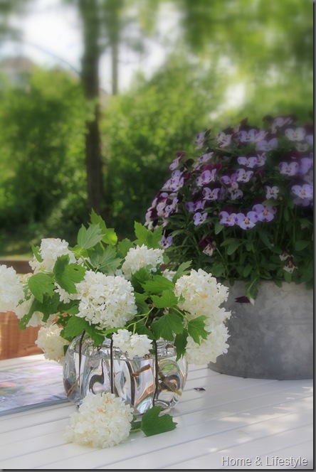 Home & Lifestyle IMG_0895