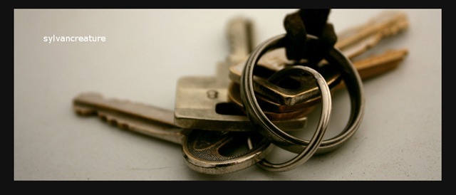 Keys and Ring