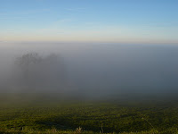 Auf dem Zugerberg
