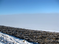 IMG_2925.JPG