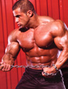 Male Bodybuilder Photo Gallery - Muscle In Action