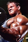 Male Bodybuilder Gallery 7 - Never Too Big