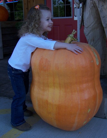 [pumpkin2[4].jpg]