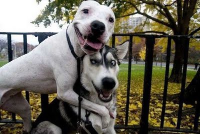 http://lh4.ggpht.com/_-qxuCc_8Vg0/S6aX_KTdmwI/AAAAAAAAJrk/w-kjC8Pjizk/pc.jpg