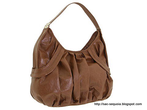 Sac sequoia:sequoia-1198093