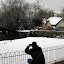 Hobo Drifter snapping some shots.