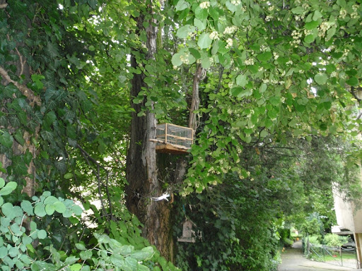 Kép