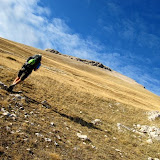 IMG_7436.JPG