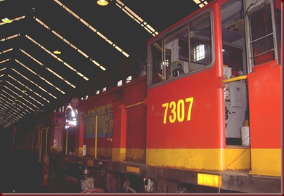 SV304619