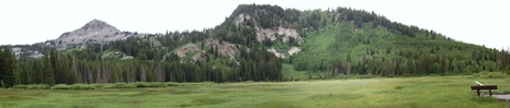 silver lake stitch (2)