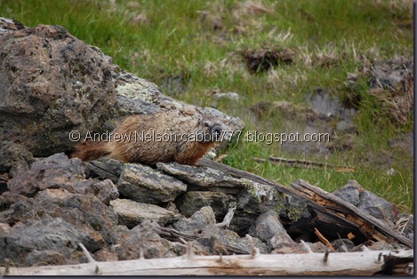 DSC_0547 DSC_0547