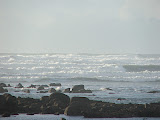 DSCF4042.JPG