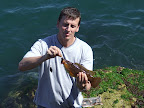 Wrasse at Whithorn