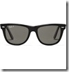 Ray-Ban Acetate Wayfarer Sunglasses