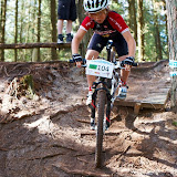 DM2010-363.jpg