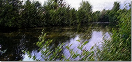 Picture 428