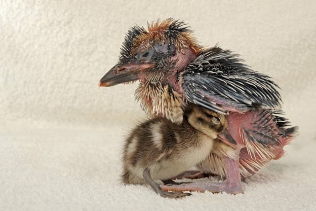 [SN810_BEST_FRIENDS_5[4].jpg]