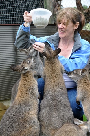 [Denise Gormer & Wallabies (re-sized)[11].jpg]