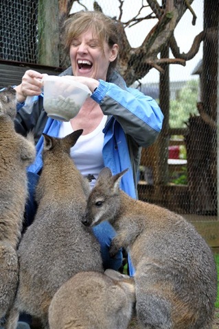 [Denise & Wallabies (3) resized[11].jpg]