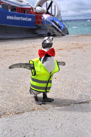 [Dippy flaps his approval at Southsea Hover port (resized)[10].jpg]