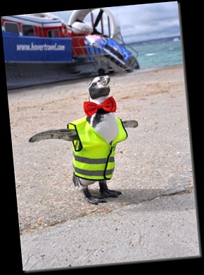Dippy flaps his approval at Southsea Hover port (resized)