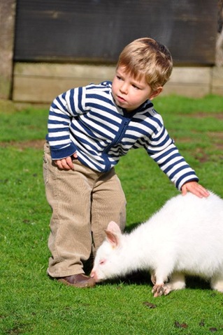 [Zach & young Albino Wallaby (resized)[4].jpg]
