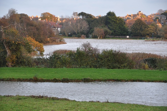 [Flooding nature reserve Nov 2010[13].jpg]