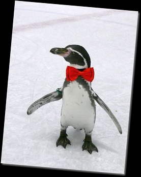 Dippy on ice (resized)